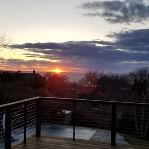 Meet your Posher, Owen